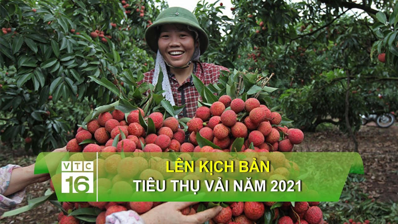 Hotspot Matrix – Kết thúc hành trình 3 ngày rực rỡ tại SECC 2025_đoạn ngắn hướng dẫn video