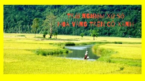 Mẹo làm mướp đắng hết đắng tới 70% không phải ai cũng biết