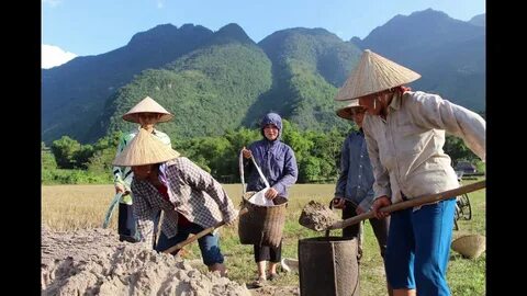 Vinamilk đồng hành cùng Đại hội Cháu ngoan Bác Hồ lần thứ X